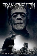 Frankenstein: or, The Modern Prometheus