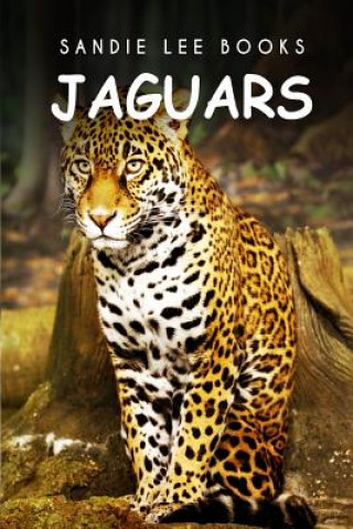 Jaguars - Sandie Lee Books