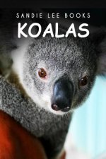 Koalas - Sandie Lee Books