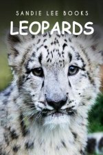 Leopards - Sandie Lee Books