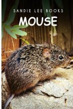 Mouse - Sandie Lee Books