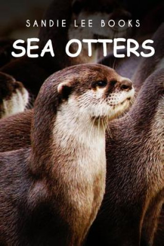 Sea Otters - Sandie Lee Books