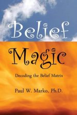 Belief Magic: Decoding the Belief Matrix