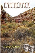 Earthcrack: Lin Hanna Mystery