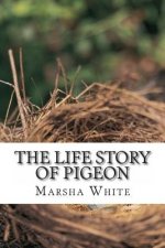 The Life Story of Pigeon: Moving from trees to windows, a side-effect of deforestation