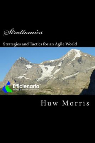 Strattomics: A practical guide to business strategies and tactics for our agile world