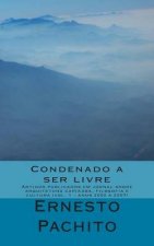 Condenado a Ser Livre: Artigos Publicados Em Jornal Sobre Arquitetura Capixaba, Filosofia E Cultura