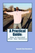 A Practical Guide: : How to Succeed After Your Sentence