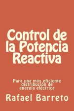 Control de la Potencia Reactiva: para una mas eficiente distribucion de energia electrica