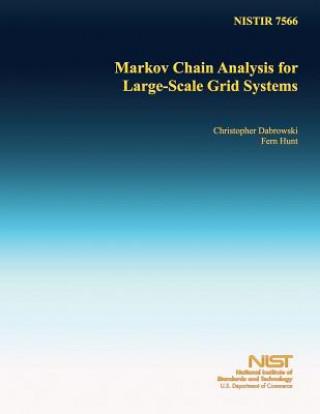 Markov Chain Analysis for Large-Scale Grid Systems