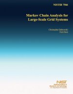 Markov Chain Analysis for Large-Scale Grid Systems