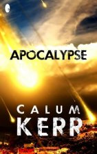 Apocalypse: A Flash-Fiction Novella