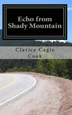 Echo from Shady Mountain