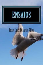 Ensaios: Colectânea de contos imaginários de casos irreais.
