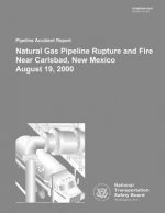 Pipeline Accident Report: Natural Gas Pipeline Rupture and Fire Near Carlsbad, New Mexico August 19, 2000