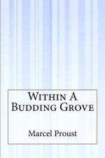 Within A Budding Grove