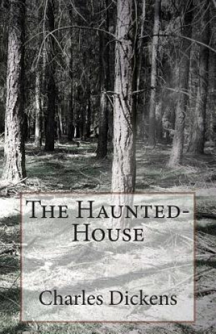 The Haunted-House
