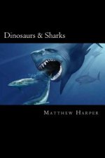 Dinosaurs & Sharks: A Fascinating Book Containing Dinosaur & Shark Facts, Trivia, Images & Memory Recall Quiz: Suitable for Adults & Child