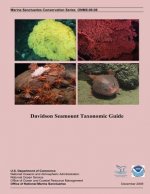 Davidson Seamount Taxonomic Guide