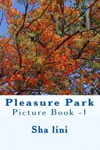 Pleasure Park: Picture Book -1