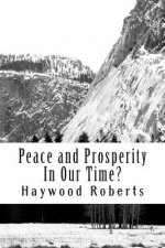 Peace and Prosperity In Our Time?: A discussion of the global financial crisis, risks of hyperinflation, loss of civility, compassion and common sense