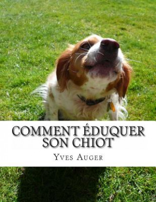 Comment Éduquer Son Chiot