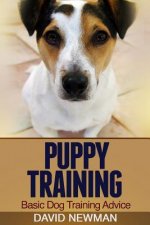 Puppy Training: Basic Dog Training Advice