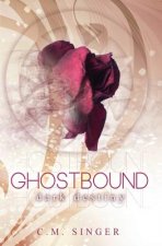Ghostbound 3 - US-Edition: Dark Destiny