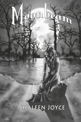 Moonbeam: Moonbeam