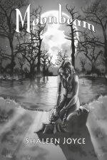 Moonbeam: Moonbeam