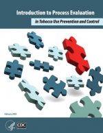 Introduction to Process Evaluation in Tobacco Use Prevention and Control