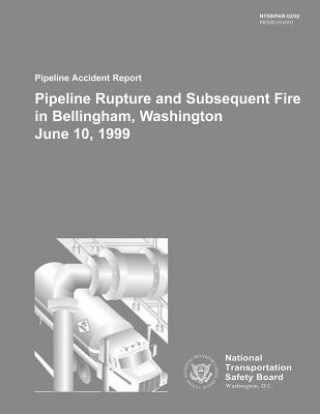 Pipeline Accident Report: Pipeline Rupture and Subsequent Fire in Bellingham, Washington June 10, 1999