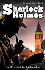 The Hound of the Baskervilles: [Illustrated Edition]