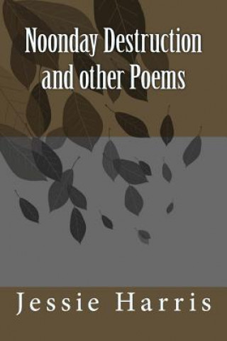 Noonday Destruction and other Poems
