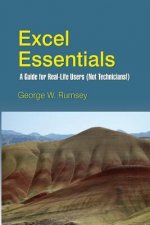 Excel Essentials: A Guide for Real-Life Users (Not Technicians!)