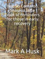 Not So Common Sense: a little book of reminders for those in early recovery