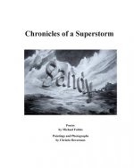 SANDY Chronicles of a Superstorm