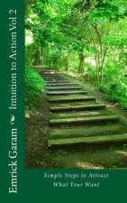 Intuition to Action Vol 2: Steps to Attract What Your Want