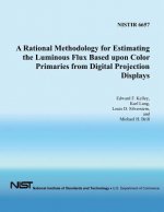 A Rational Methodology for Estimating the Luminous Flux Based Upon Color Primaries from Digital Projection Displays