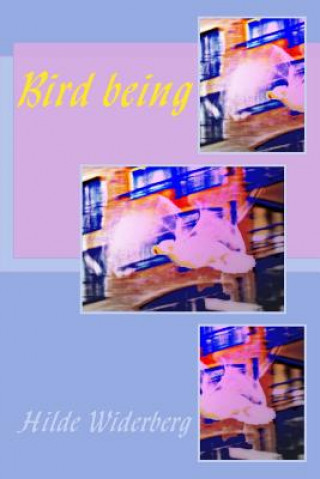 Bird being