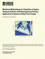 Multilevel Methodology for Simulation of Spatio-Temporal Systems with Heterogenous Activity: Application to Spread of Valley Fever Fungus