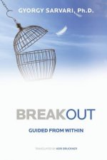 Breakout: Guided from Within