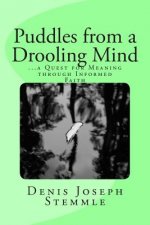 Puddles from a Drooling Mind: ...a Quest for Meaning through an Informed Faith