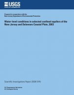 Water-level conditions in selected confined aquifers of the New Jersey and Delaware Coastal Plain, 2003