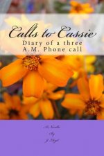 Calls to Cassie: Diary of a Three A.M. Phone Call