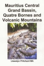 Mauritius Central Grand Bassin, Quatre Bornes and Volcanic Mountains: Uma Lembranca Colecao de Fotografias Coloridas Com Legendas