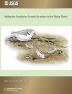 Molecular Population Genetic Structure in the Piping Plover