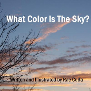 What Color is the Sky?