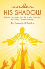 under HIS SHADOW: Intimate Encounters withThe Abiding Presence, As Told by Ordinary Believers