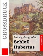 Schloß Hubertus (Großdruck)